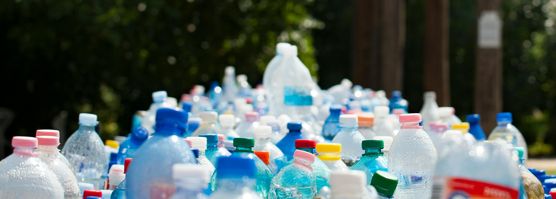 🌍 Disminución de tu huella ecológica: cada paso cuenta