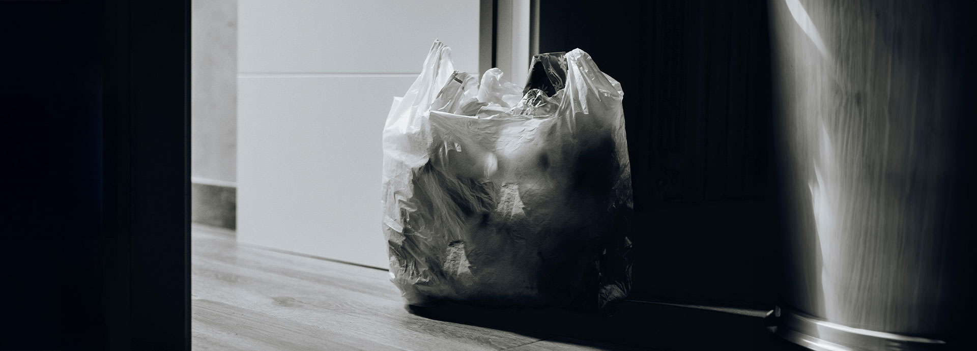 🌿 Fomentas el consumo responsable y sostenible: cuando eliges diferente, haces la diferencia