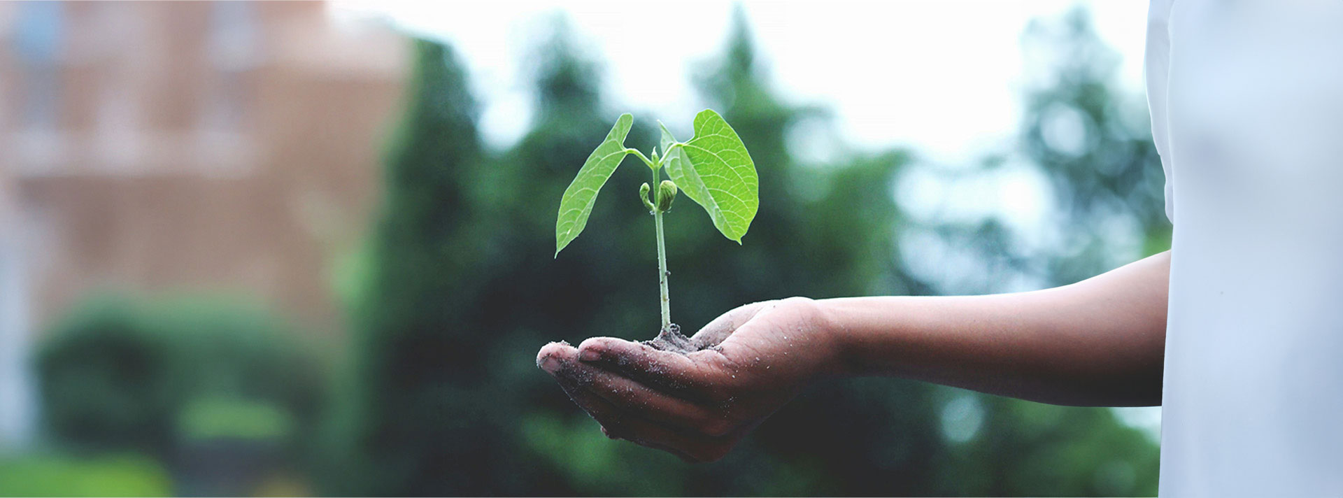 ♻️ Reducción del uso de plástico desechable: pequeñas acciones, grandes cambios